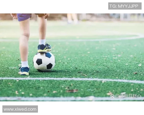 踢足球能够增强团队合作精神提升身体素质培养坚韧不拔的意志力